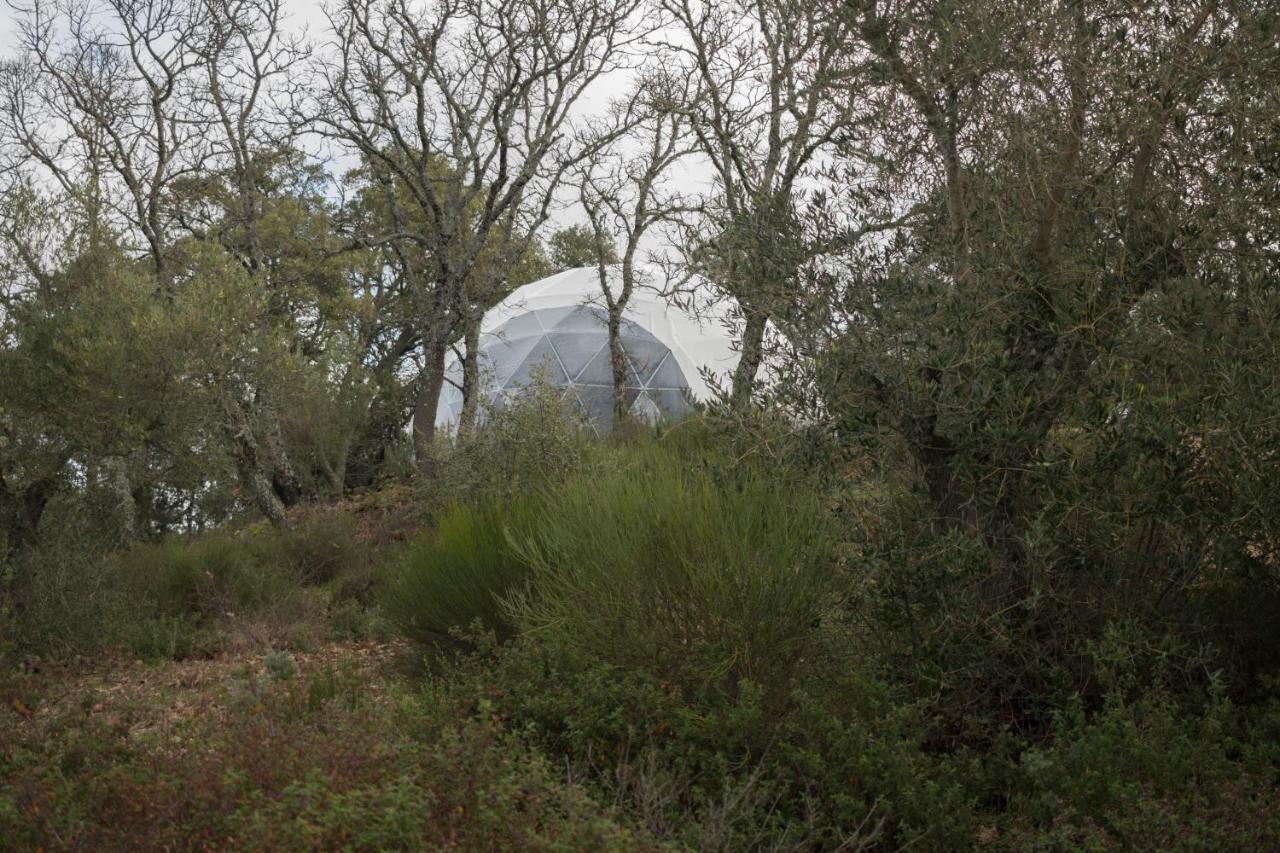 Alojamiento Rural Camino Beturia Cabeza la Vaca Exterior foto